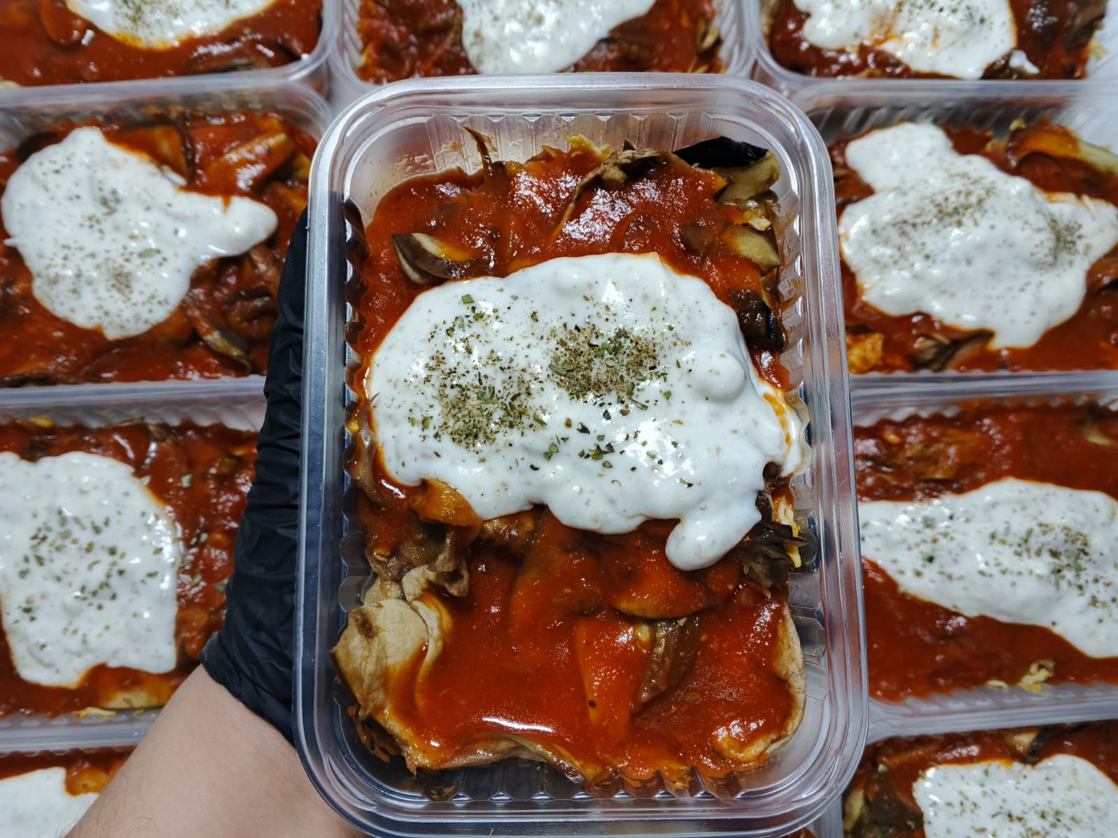 16 - Lasanha de berinjela 